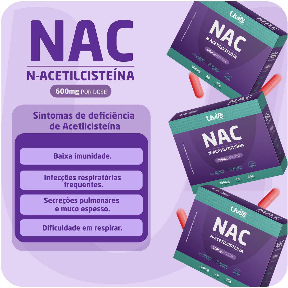 Kit Pós-Caneta - Creatina, Complexo B, NAC e Ferro Ultra