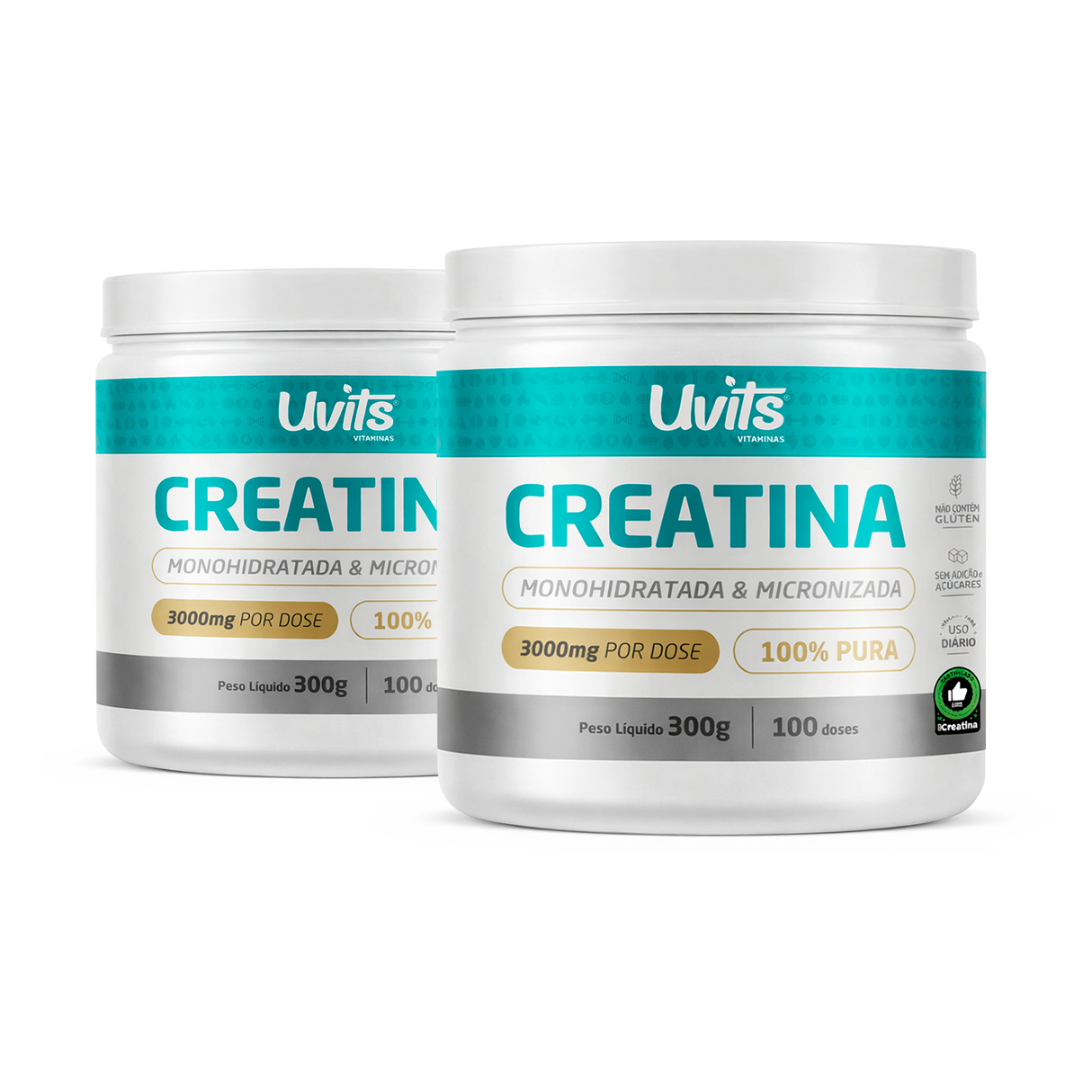 Creatina Monohidratada 300g