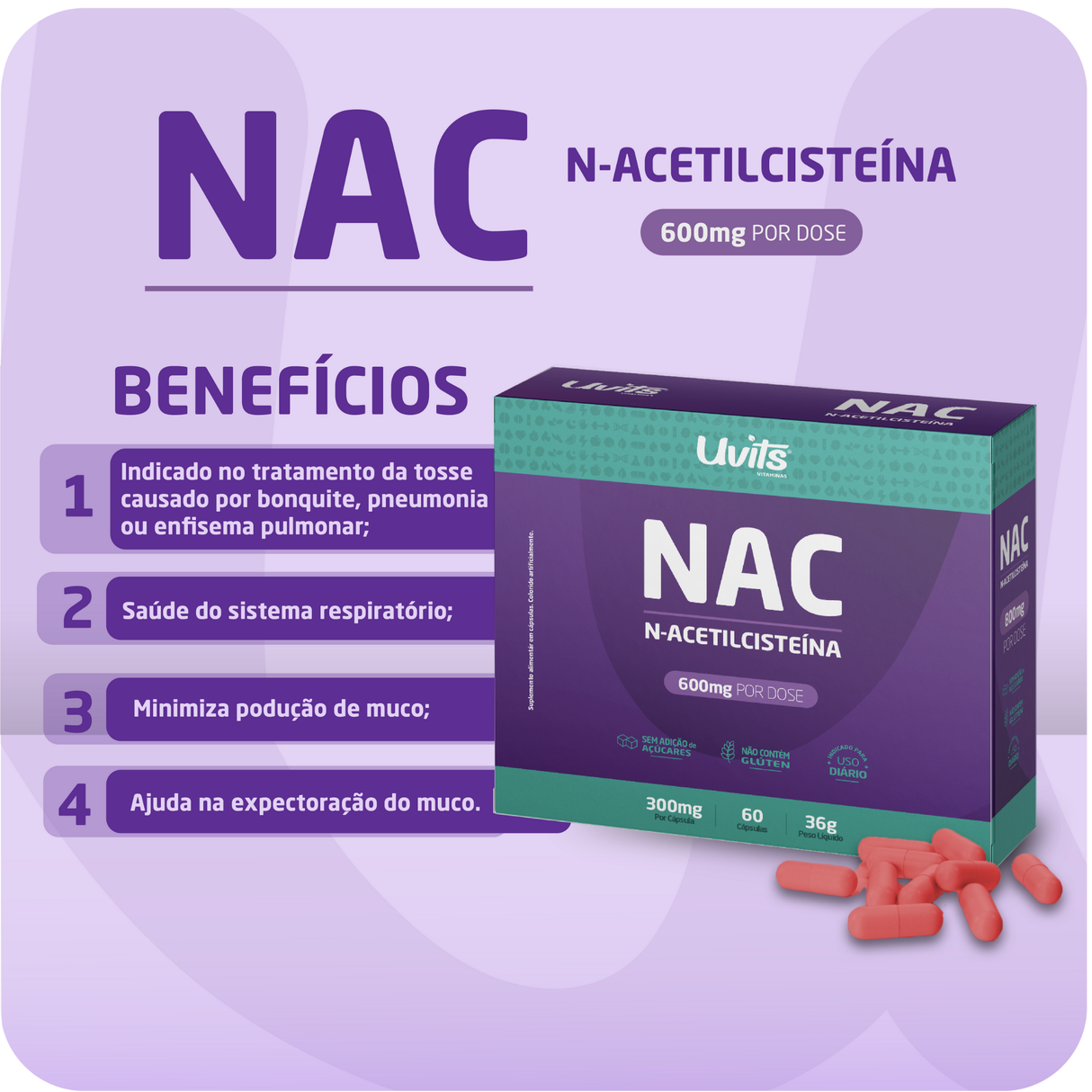 Kit Pós-Caneta - Creatina, Complexo B, NAC e Ferro Ultra
